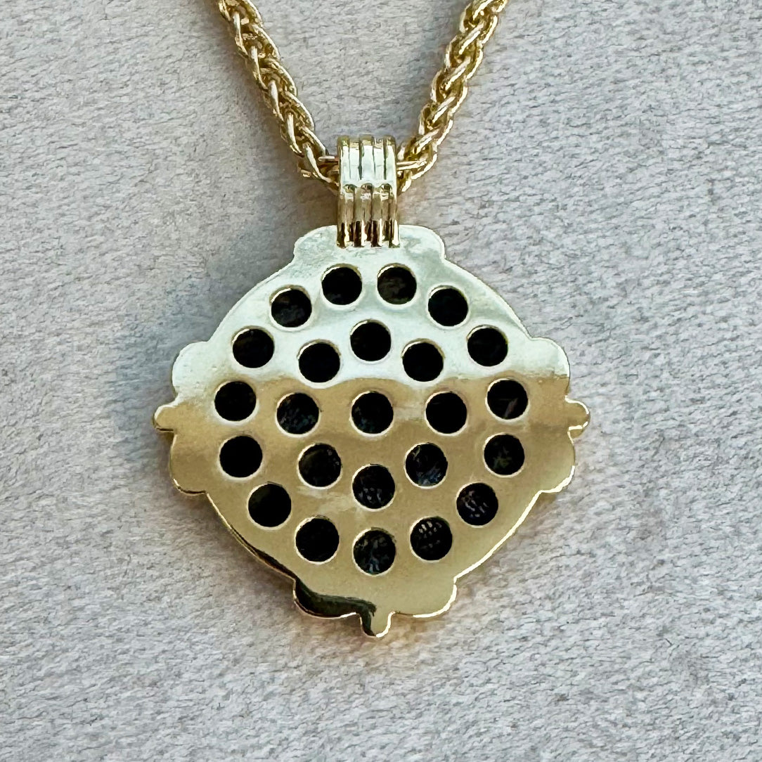 Dakota - Black Shell Cameo