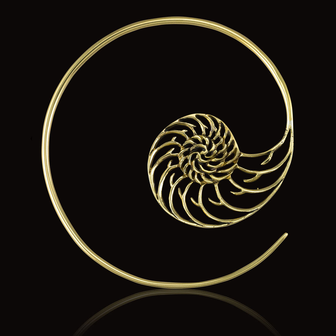 Nautilus Spirals - Brass