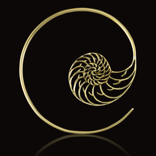 Nautilus Spirals - Brass
