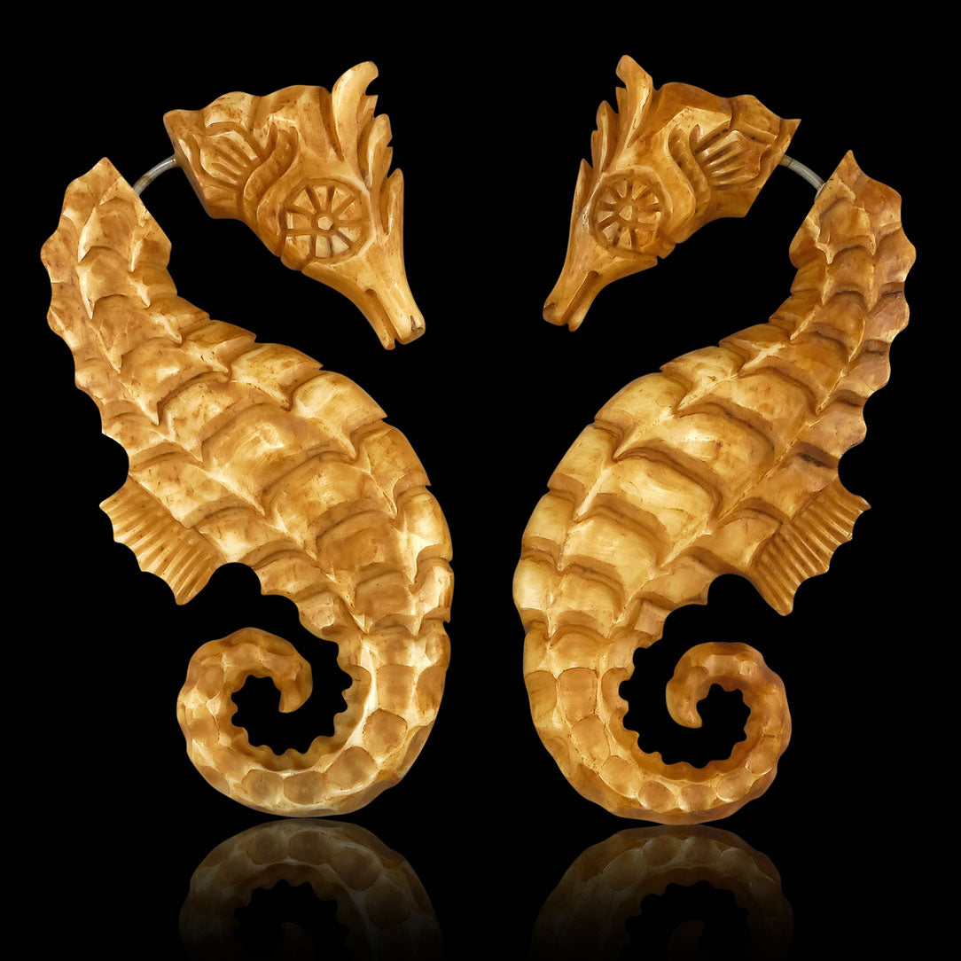 The Seahorses - Bone