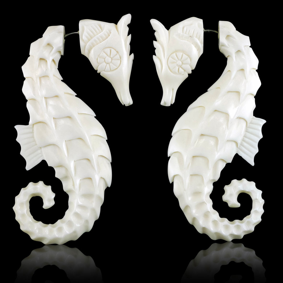 Seahorses - Bone