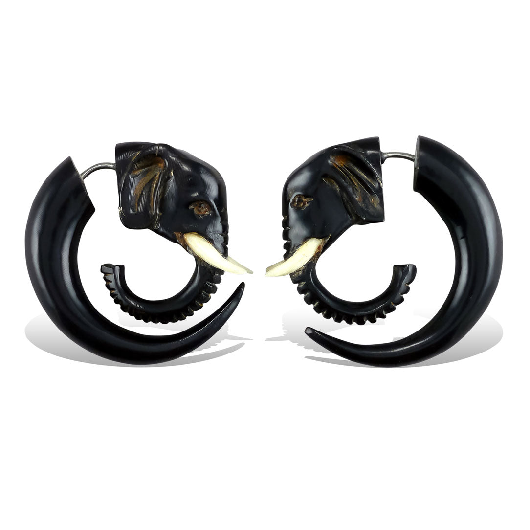 Elephant Curls - Horn