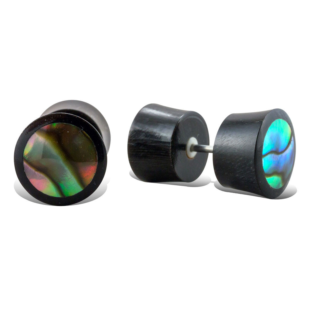 Abalone Shell - Horn