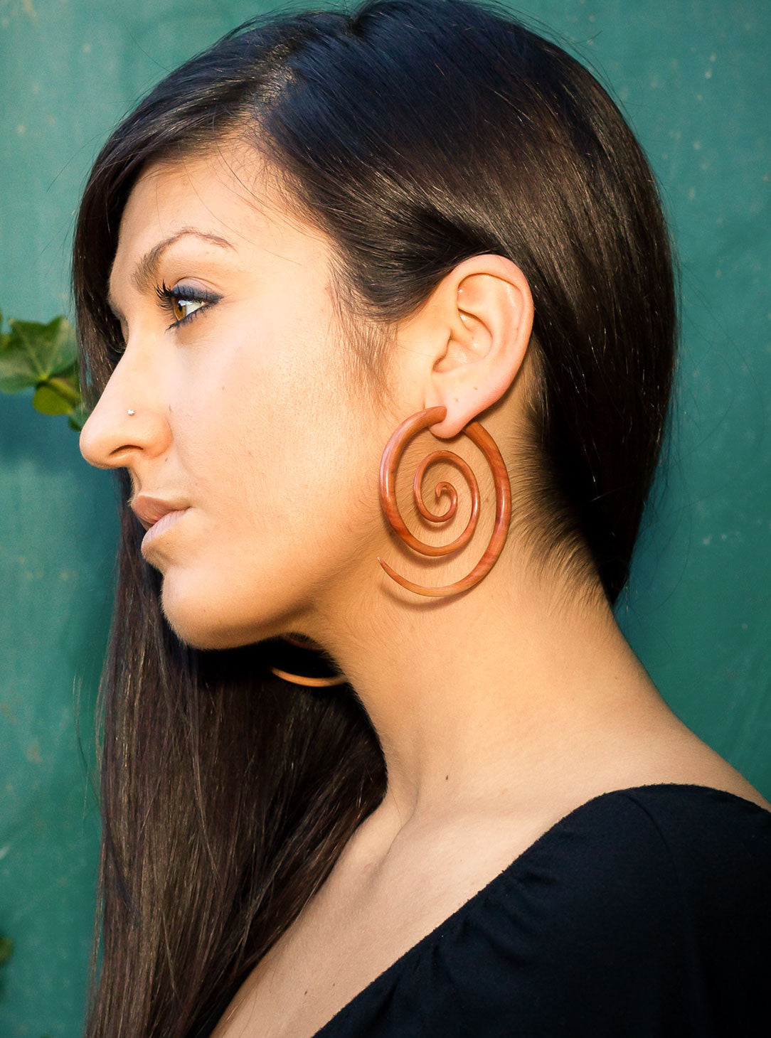 Super Spirals - Tan Sabo Wood