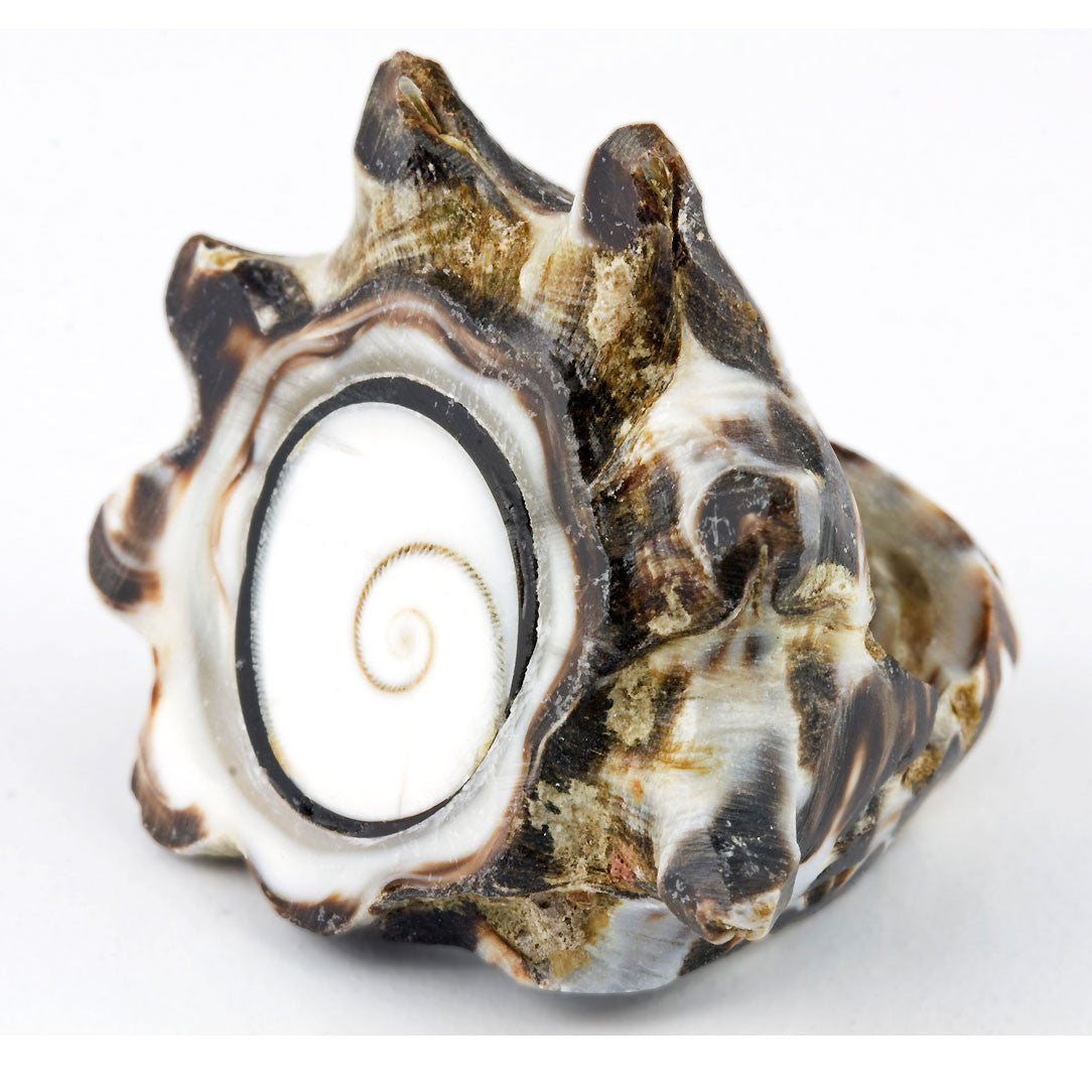 Conch Shiva Eye Ring - Seashell