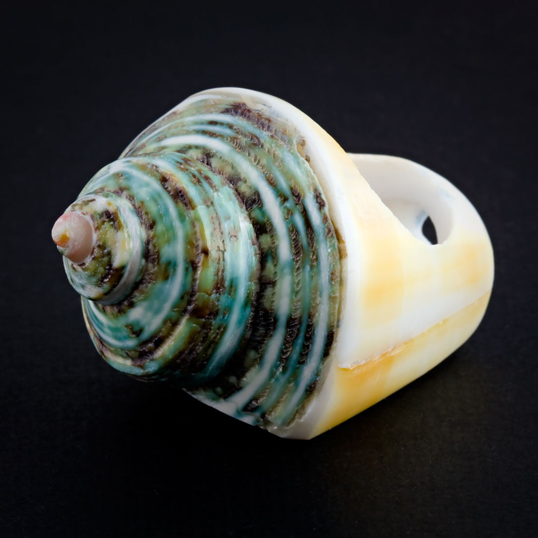 Coned Seashell Ring - Green Spiral