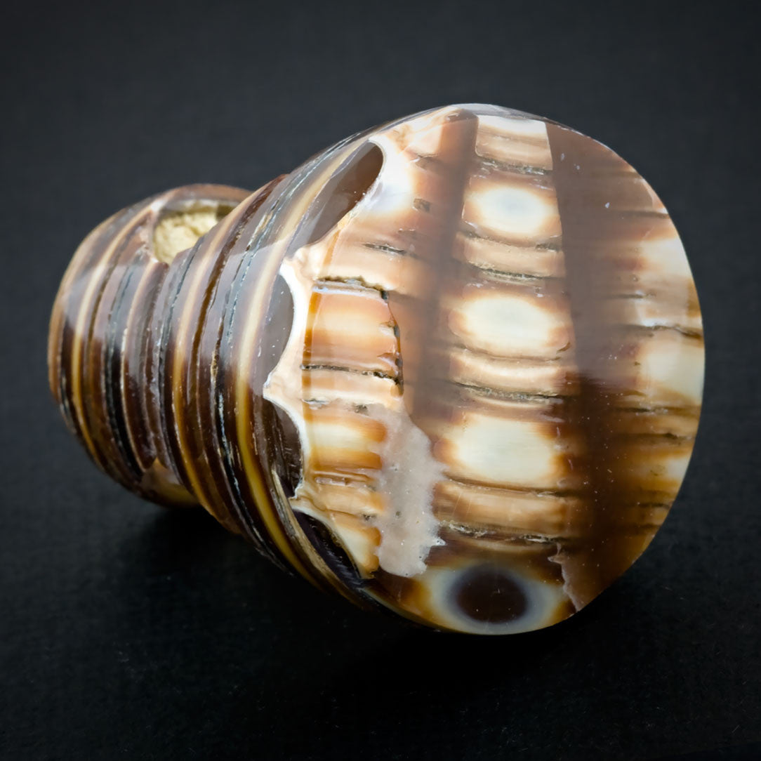 Sand Seashell Ring - Crosspiece