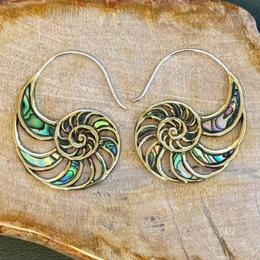 Abalone Nautilus Drops - Silver Posts