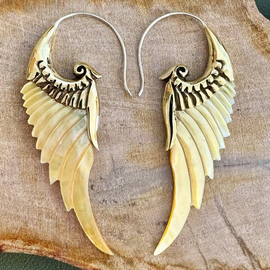Renaissance Wings - Shell