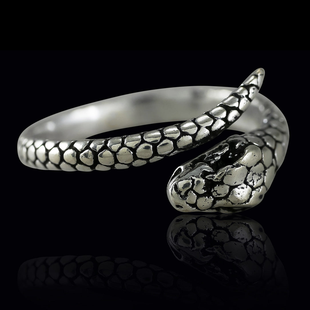 Sleeping Snake Ring - Silver