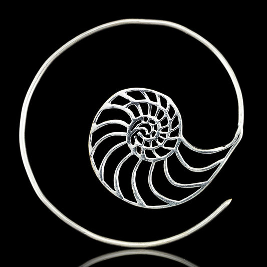 Nautilus Spirals