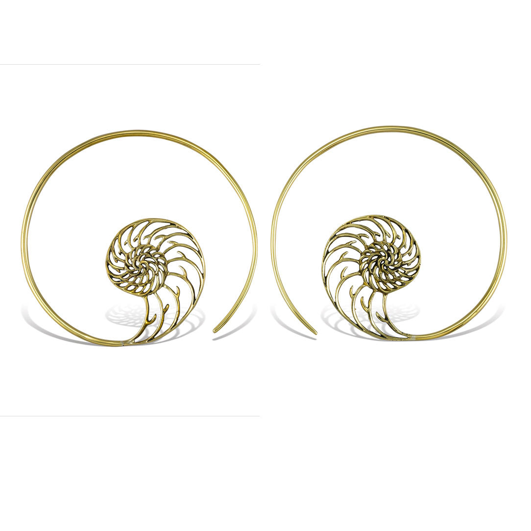 Nautilus Spirals- 12ga