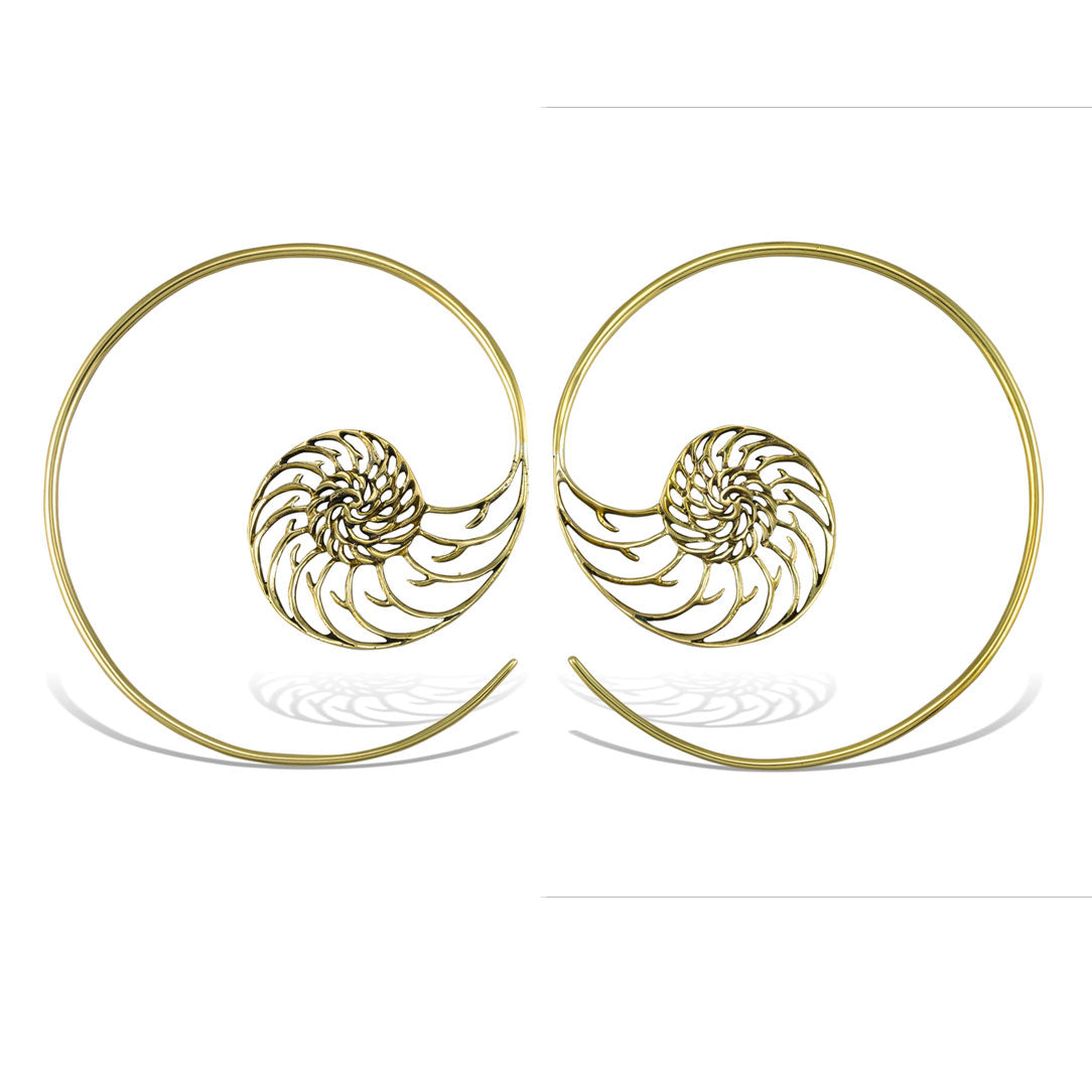 Nautilus Spirals- 12ga