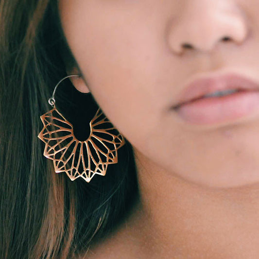 Synergy Hoops - Silver Posts