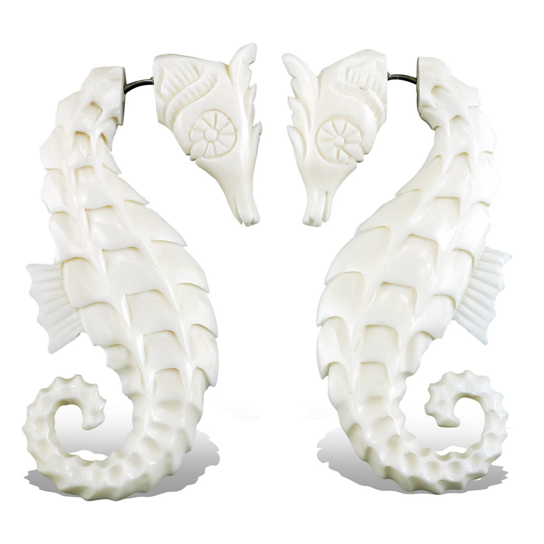 Seahorses - Bone
