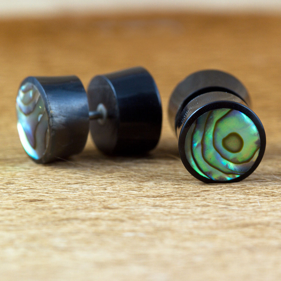 Abalone Shell - Horn