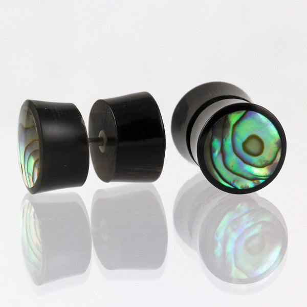<span>EFPH-106 Abalone<span>: </span></span>Abalone Shell - Horn