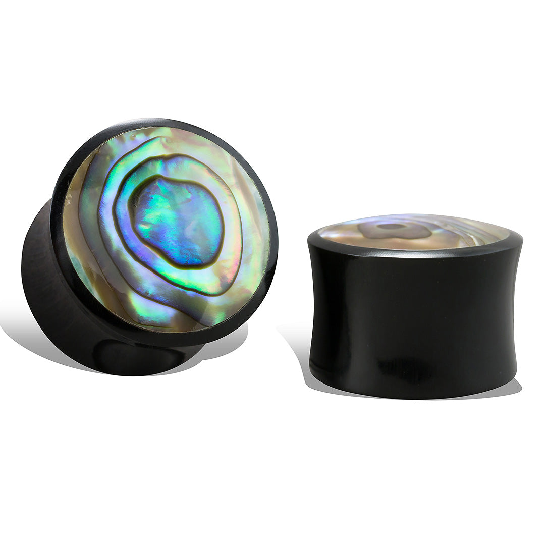 Abalone Plugs - Horn