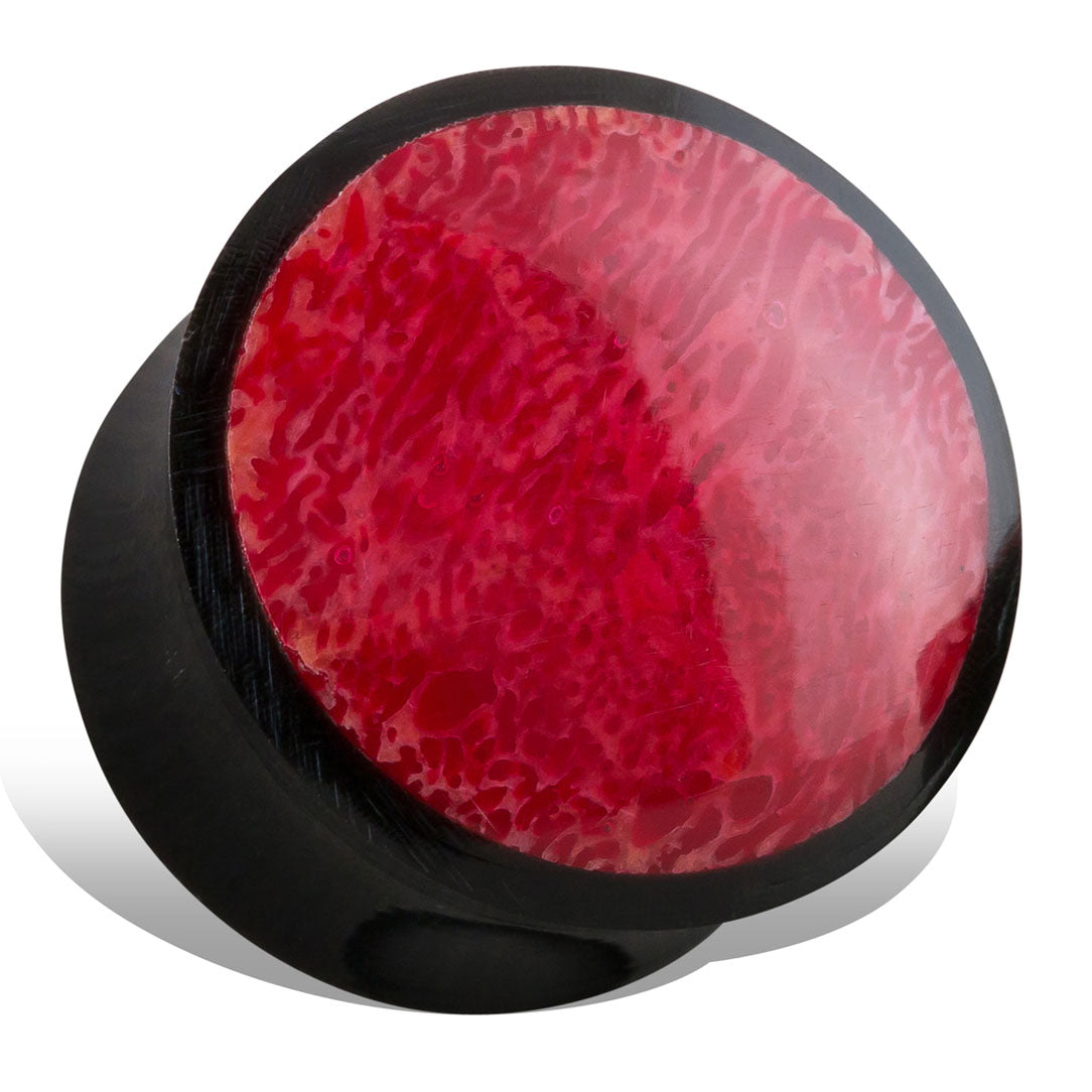 Red Coral Plugs - Horn
