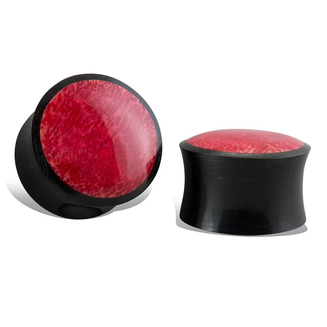 Red Coral Plugs - Horn