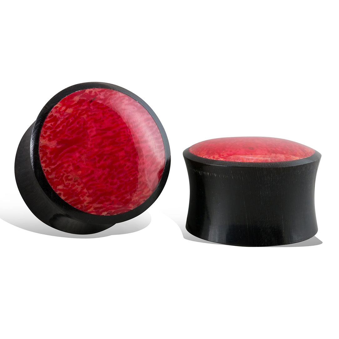 Red Coral Plugs - Horn