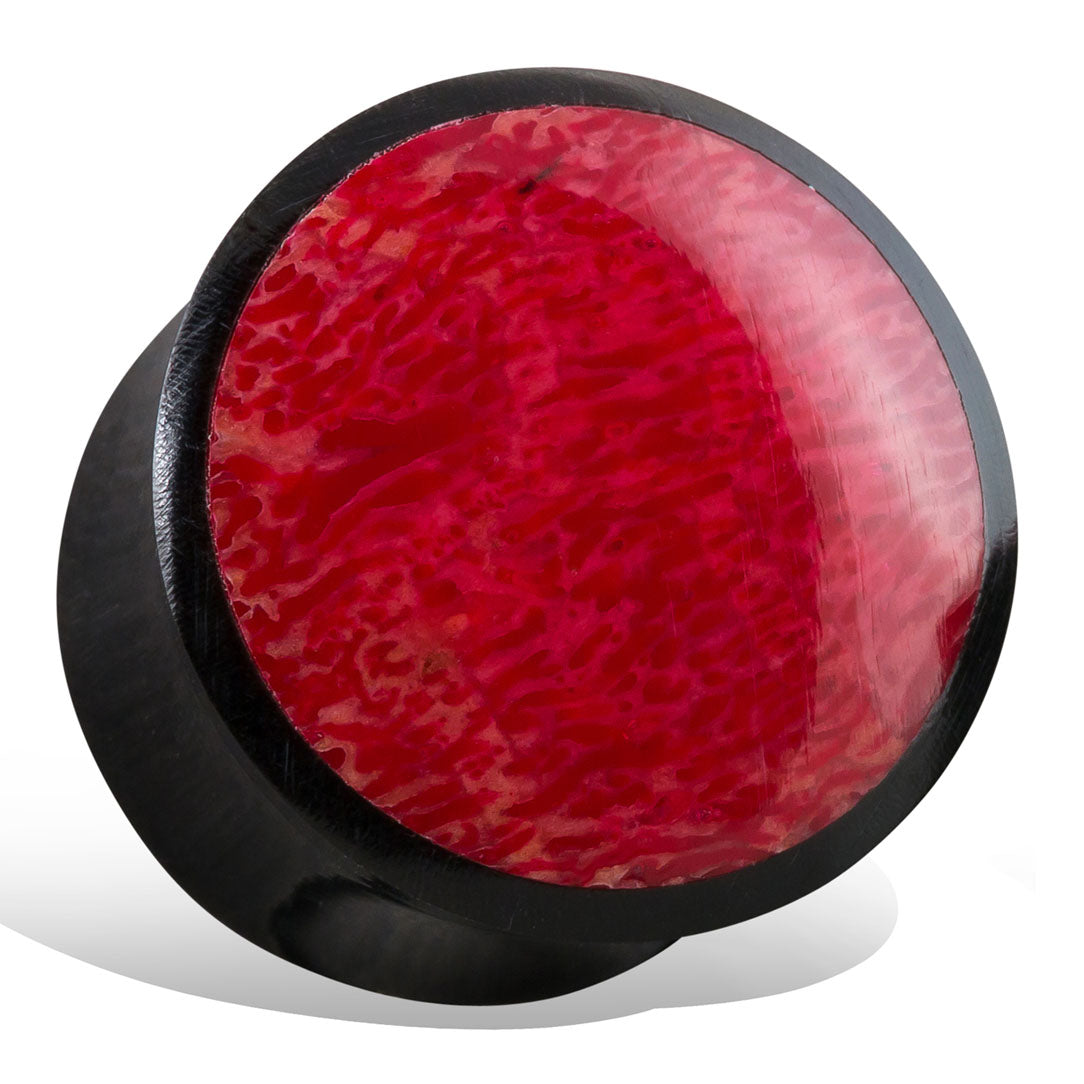 Red Coral Plugs - Horn