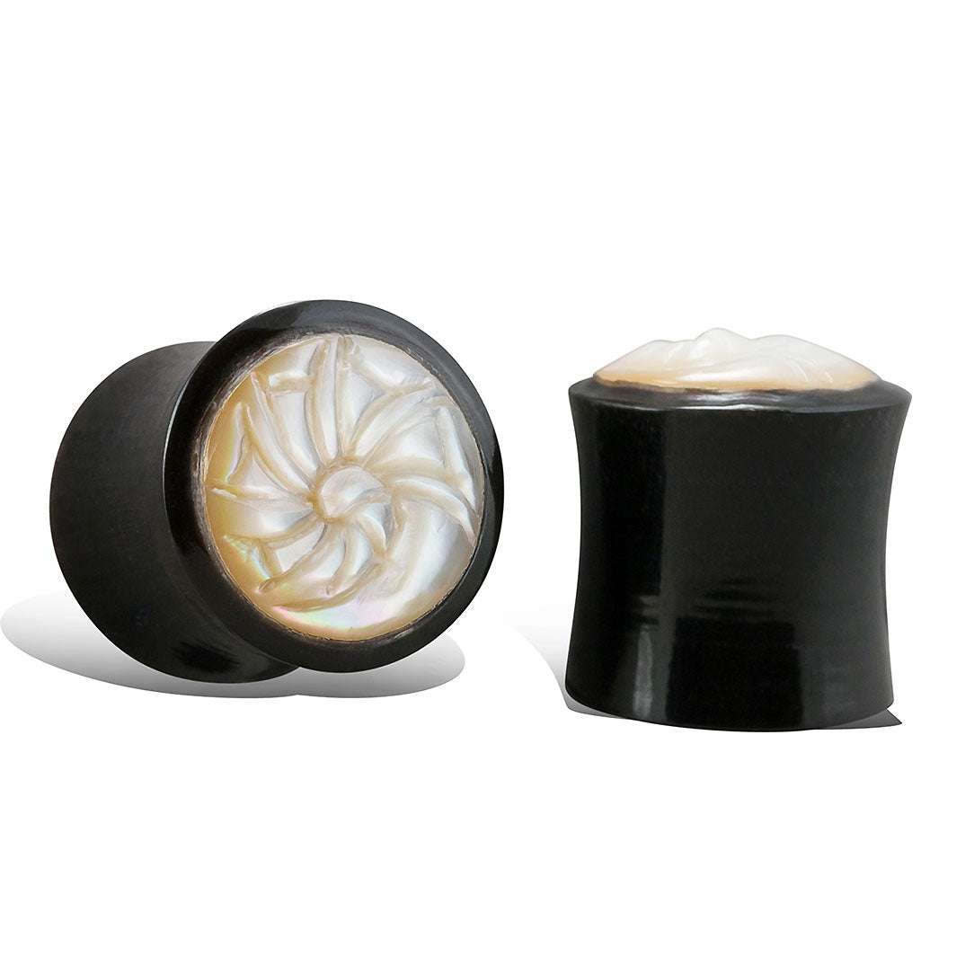 Nautilus Shell Plugs - Horn