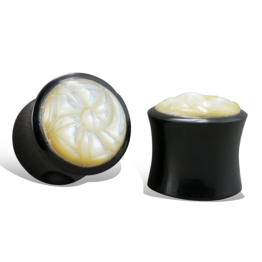 Nautilus Shell Plugs - Horn