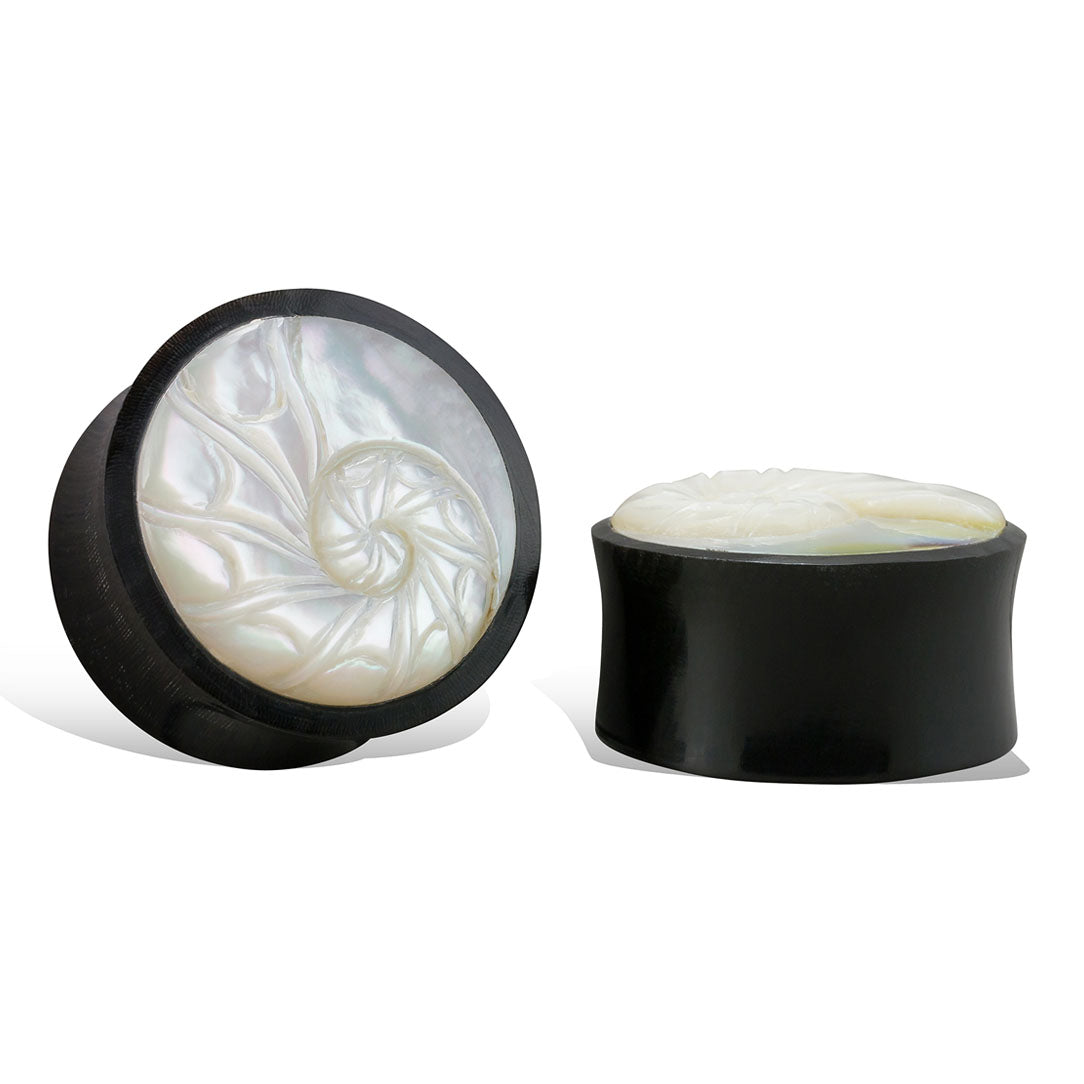 Nautilus Shell Plugs - Horn