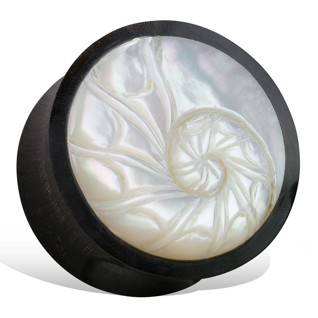 Nautilus Shell Plugs - Horn