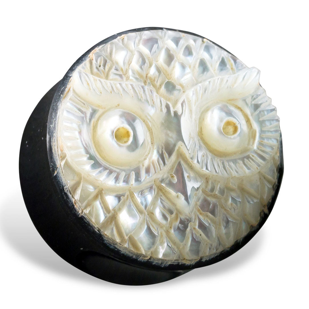 Owl Shell Plugs - Horn