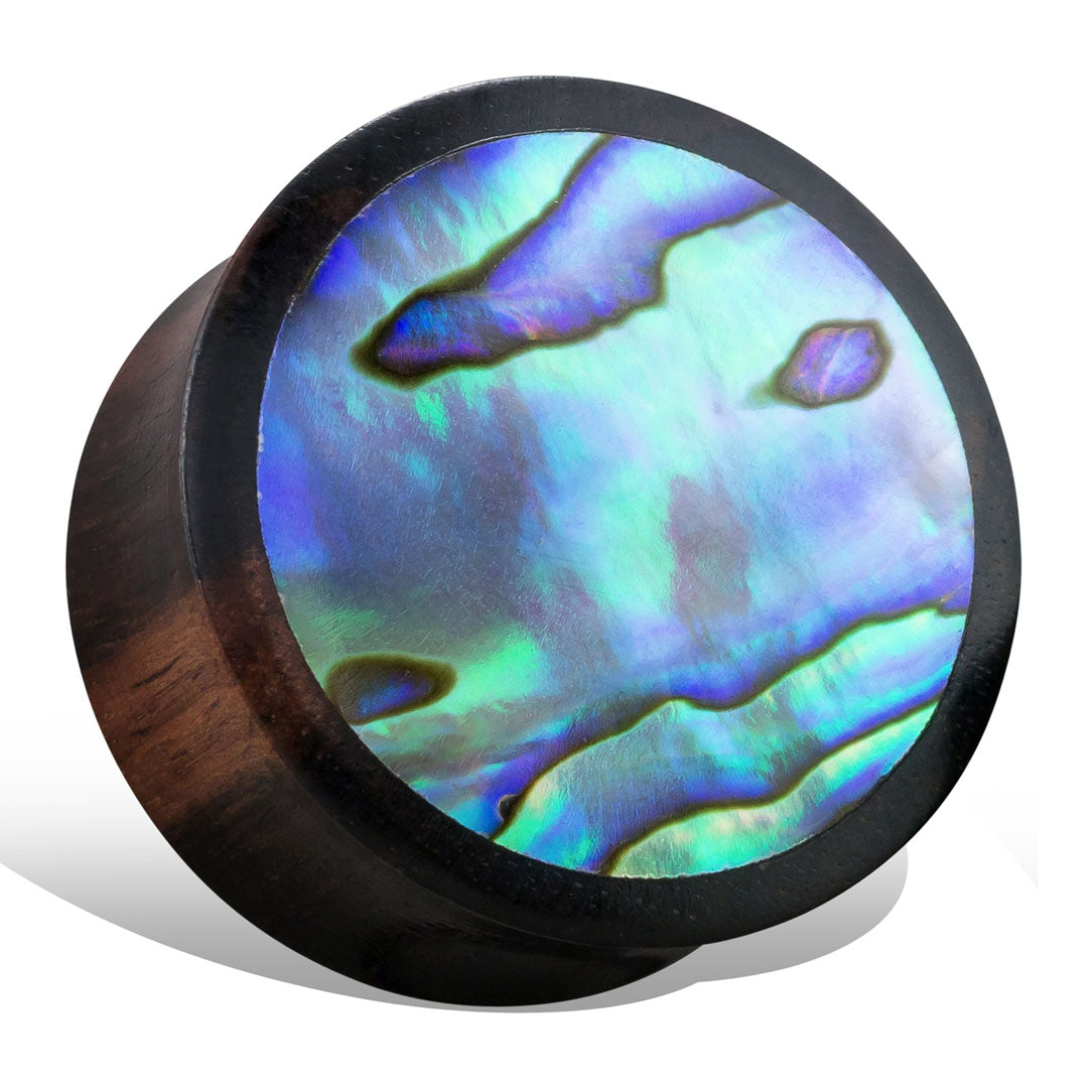 Abalone Plugs - Black Wood