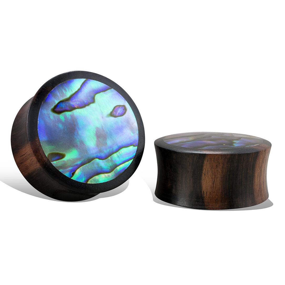Abalone Plugs - Black Wood