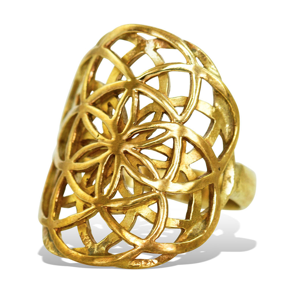 <span>RBR-002<span>: </span></span>Double Seed of Life Ring - Brass