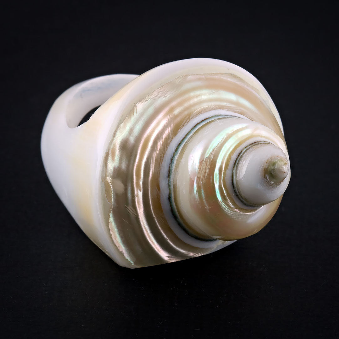 Coned Seashell Ring - Pearl Spiral
