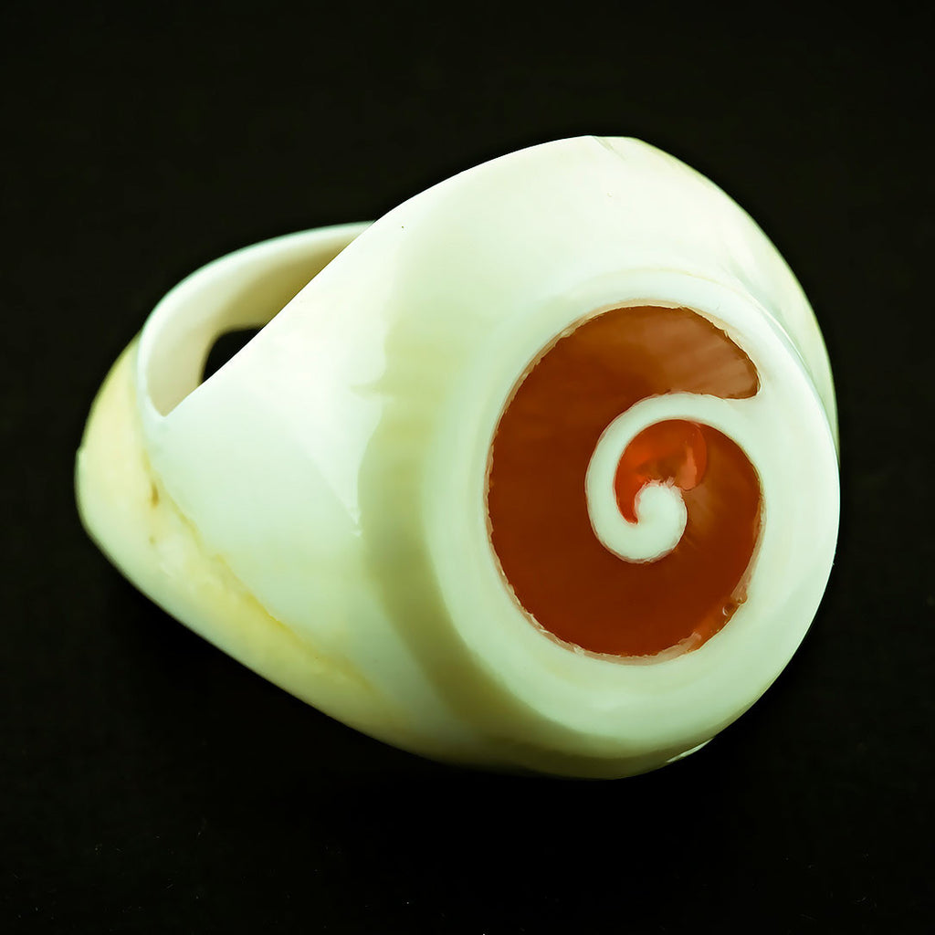 White Seashell Ring - Red Spiral